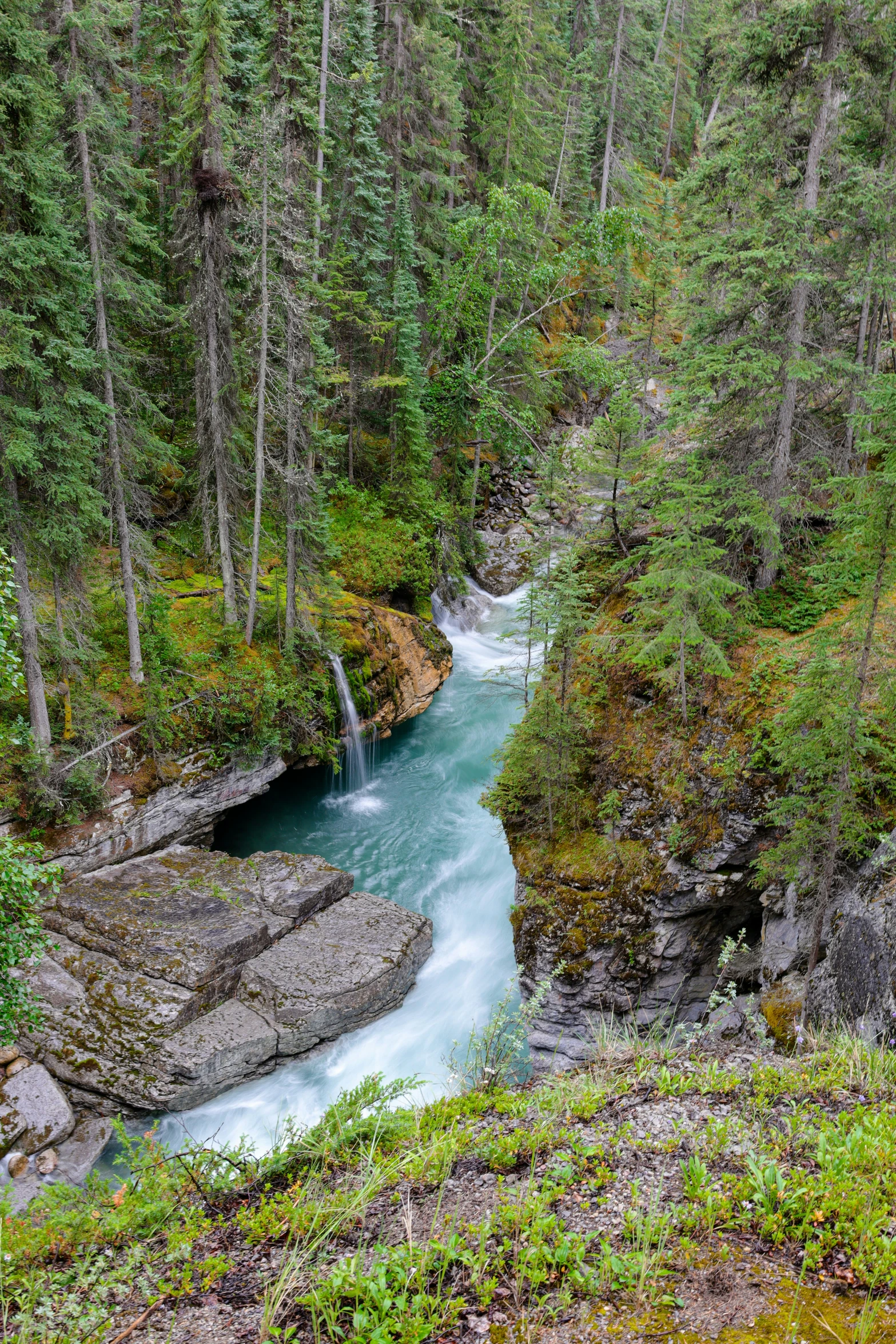 a creek with water running through it surrounded by rocks