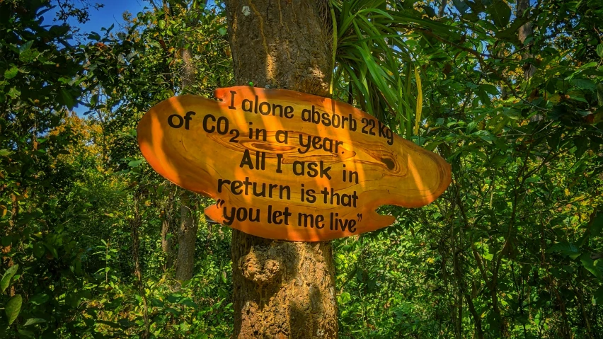 a yellow sign on a tree says i belong through it of co2 in four years