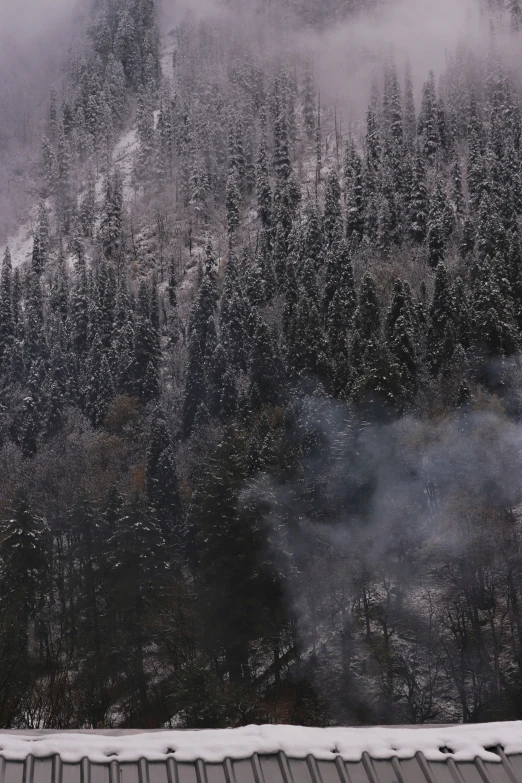 snowy trees and mountains on the side of a road