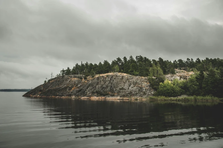 trees on a island surrounded by water under a grey sky