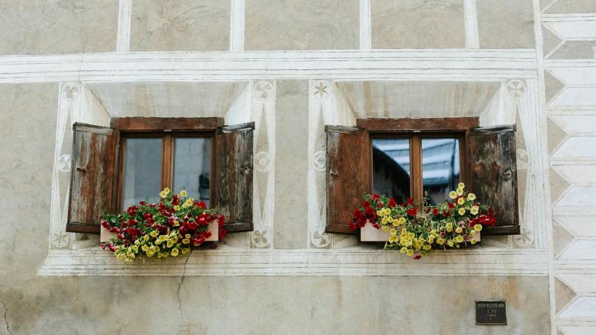 two windows with plants in the middle and a red flower box below