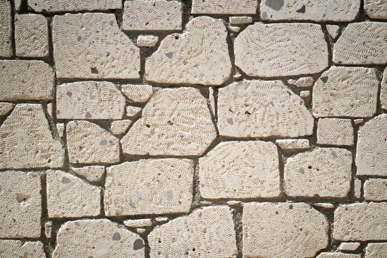 white stone brick wall with some black dots