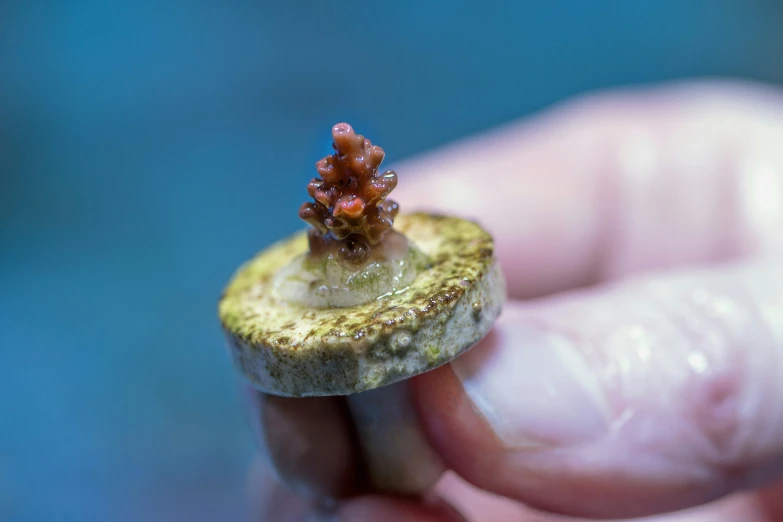 a tiny figurine is being held in someone's hand