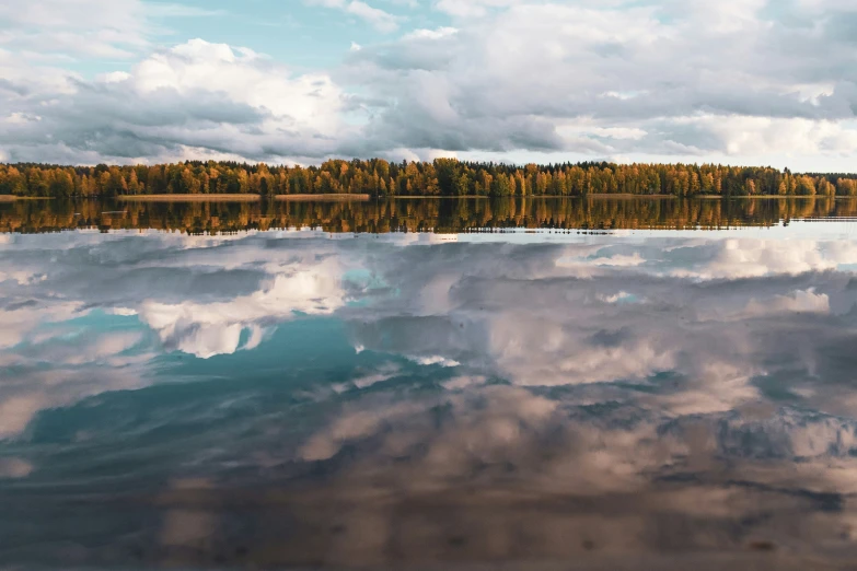 a still lake in the foreground is full of trees