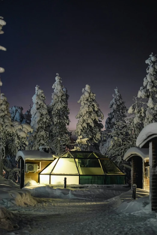 there is a picture of a snow covered village at night