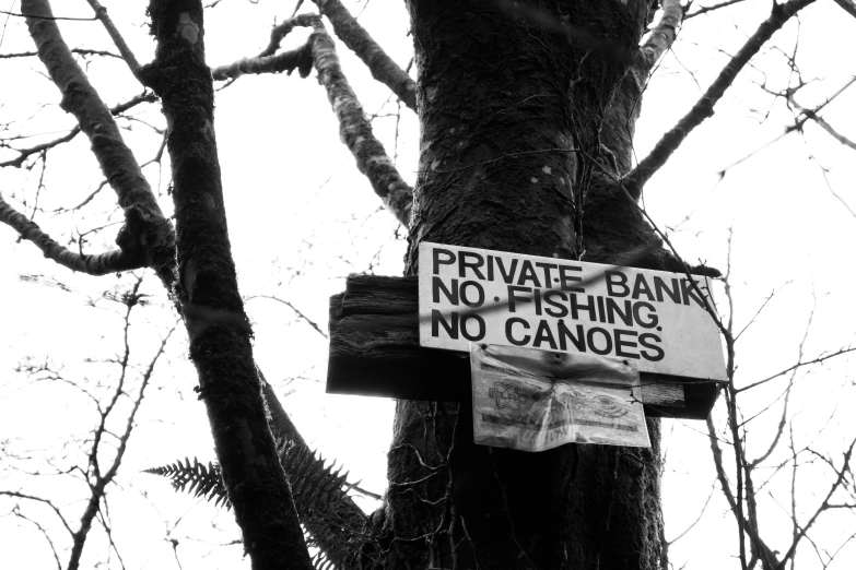 a street sign is displayed on a tree