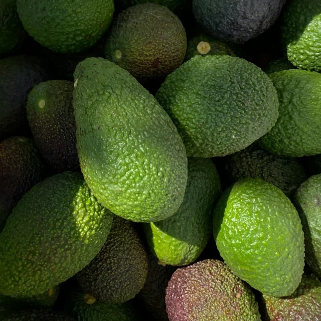 a pile of green and black avocados are together