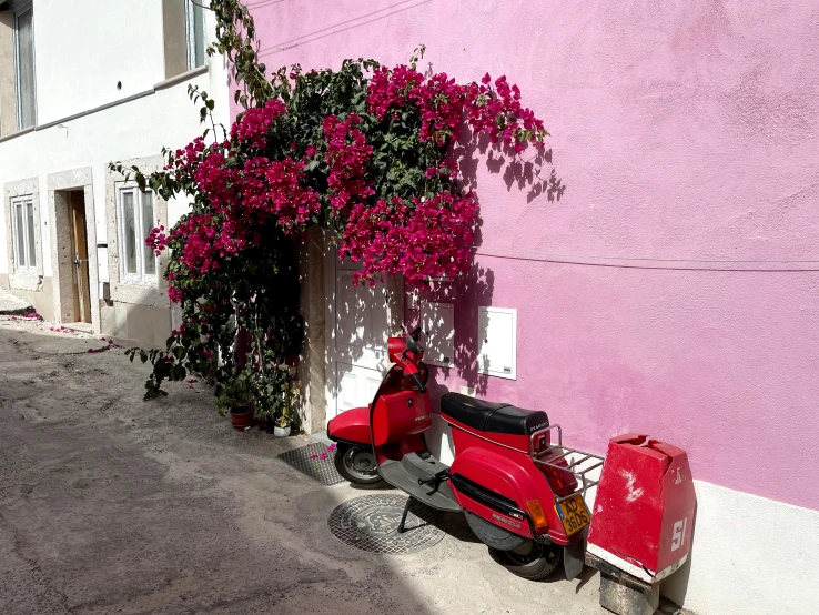 a moped parked against a pink building with purple flowers