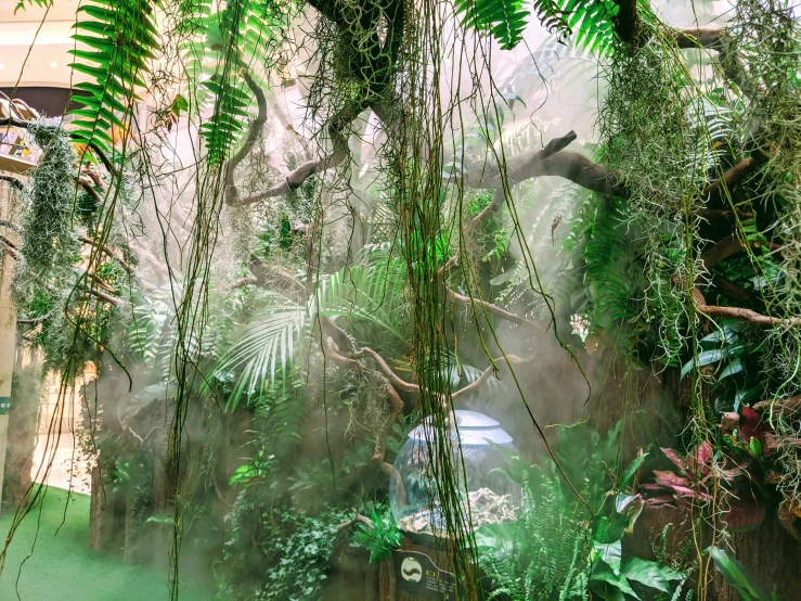 a large variety of plants and trees grow in the center of this glass walled wall