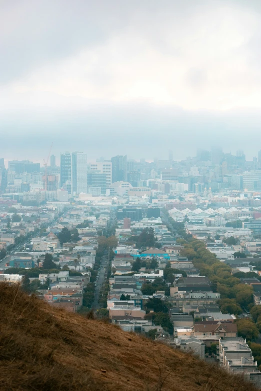 a hillside view of a city with tall buildings