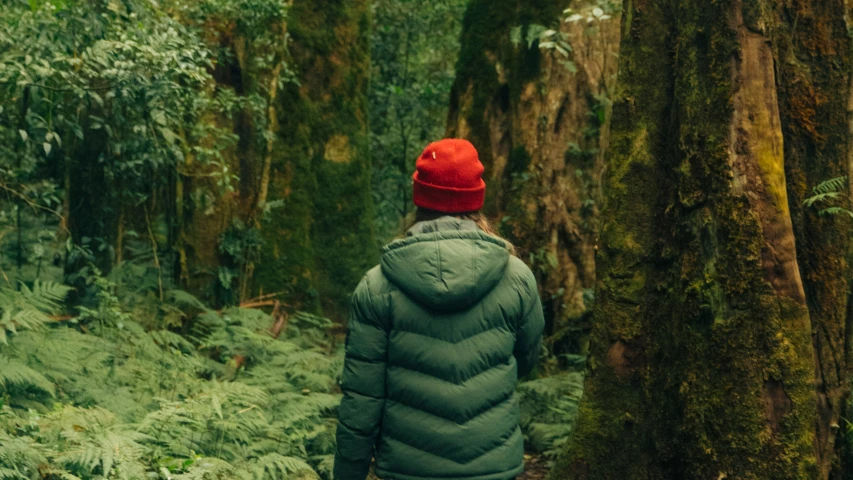 person in green coat and red hat walking on trail