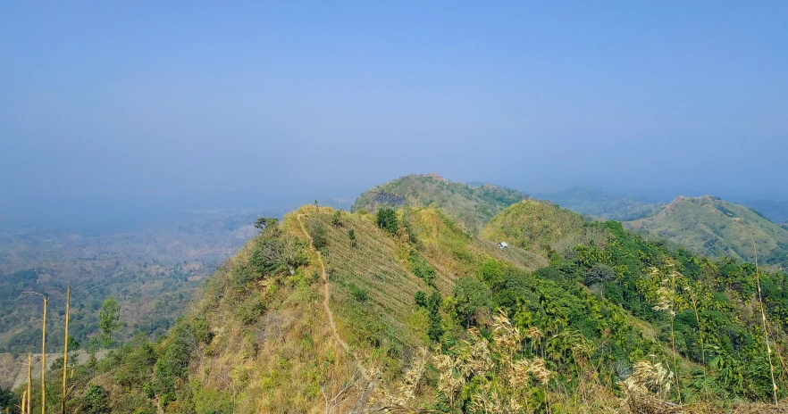 the mountains are all covered by vegetation