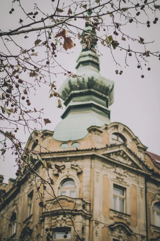 a building that is very old and has some very pretty flowers in front of it