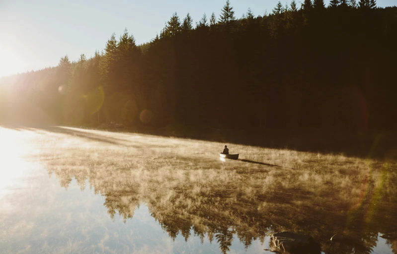 a lake is in front of the woods and is foggy