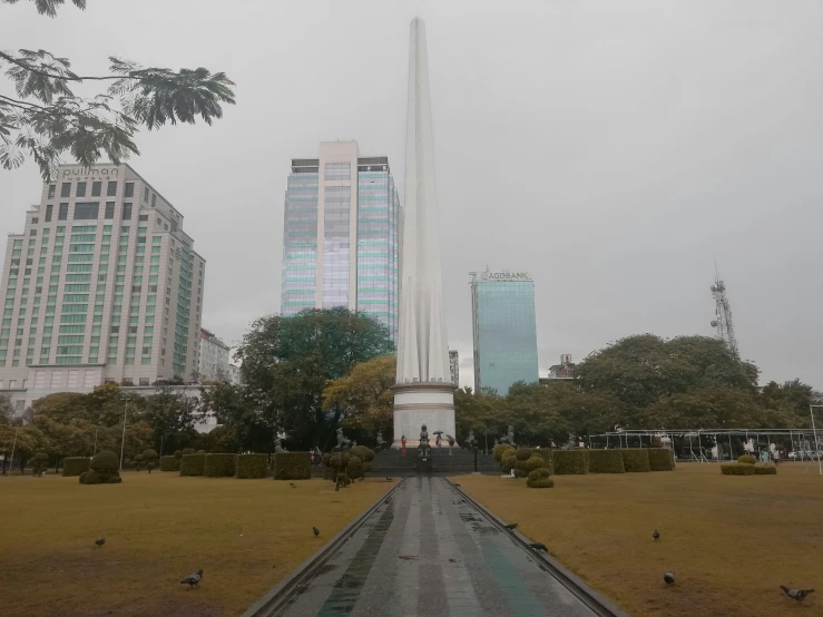 a grassy area in front of many tall buildings