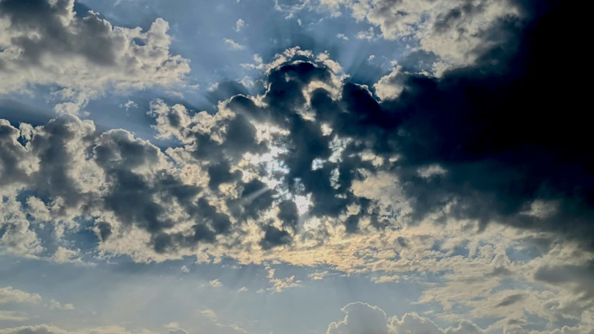 a group of birds are flying through the sky