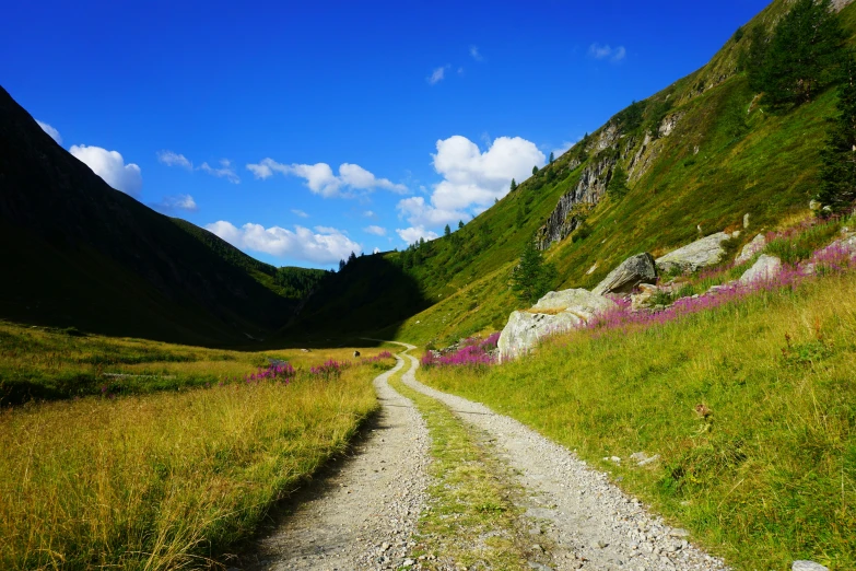 a gravel road running up the side of a hill