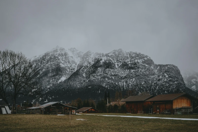 mountain with homes surrounded by snow - covered trees