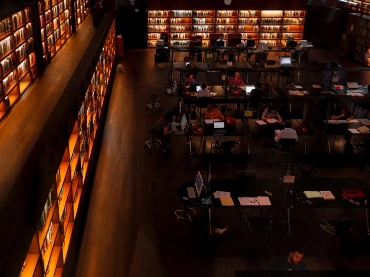 the long bookshelves of the liry are filled with people reading