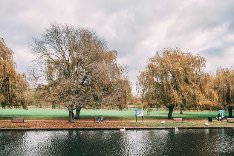 there are people sitting in the park by the river