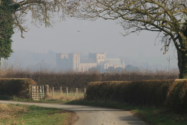 a castle and a tree seen through a fence