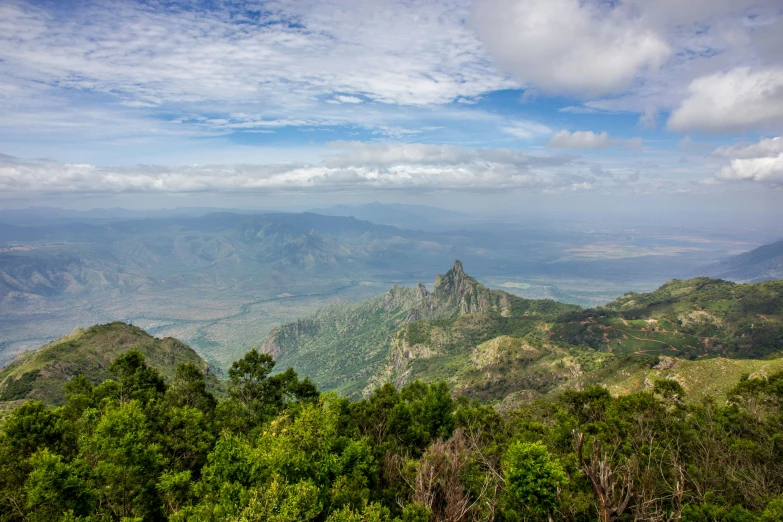 a lush green landscape on the edge of a mountain