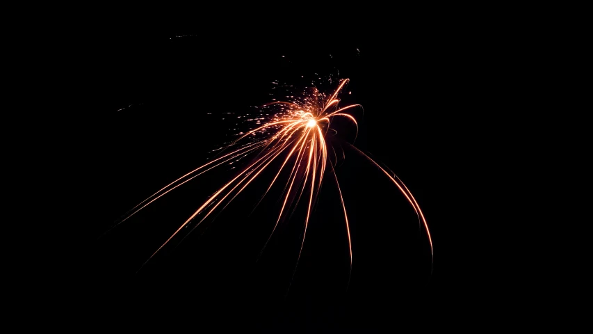 fireworks exploding in the dark night sky