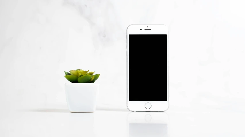 a cellphone sitting next to a plant in a pot