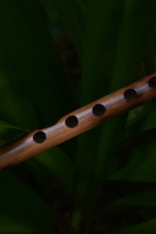 an elegantly designed wooden flute with five dots