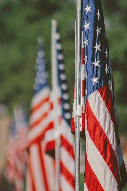 american flags line the ground as seen from below