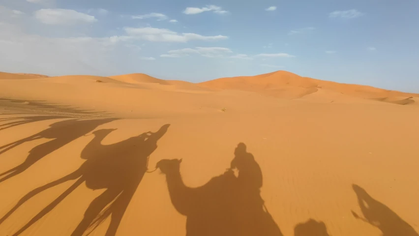 four people and two camels on a sand dune
