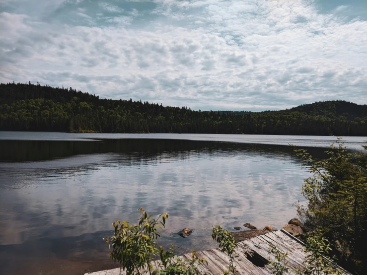 a calm lake with trees around it