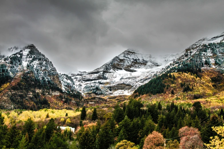 snowy mountains and trees under a cloudy sky