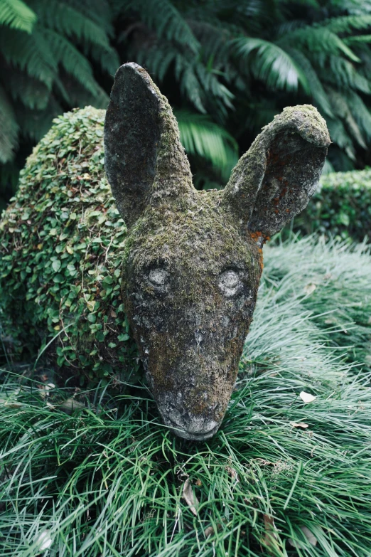 a grass deer head is surrounded by evergreen leaves