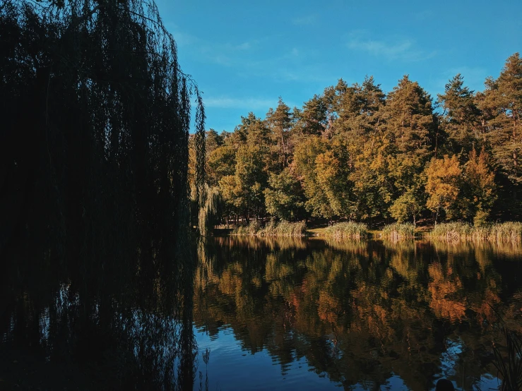 a lake with trees and leaves and the sky