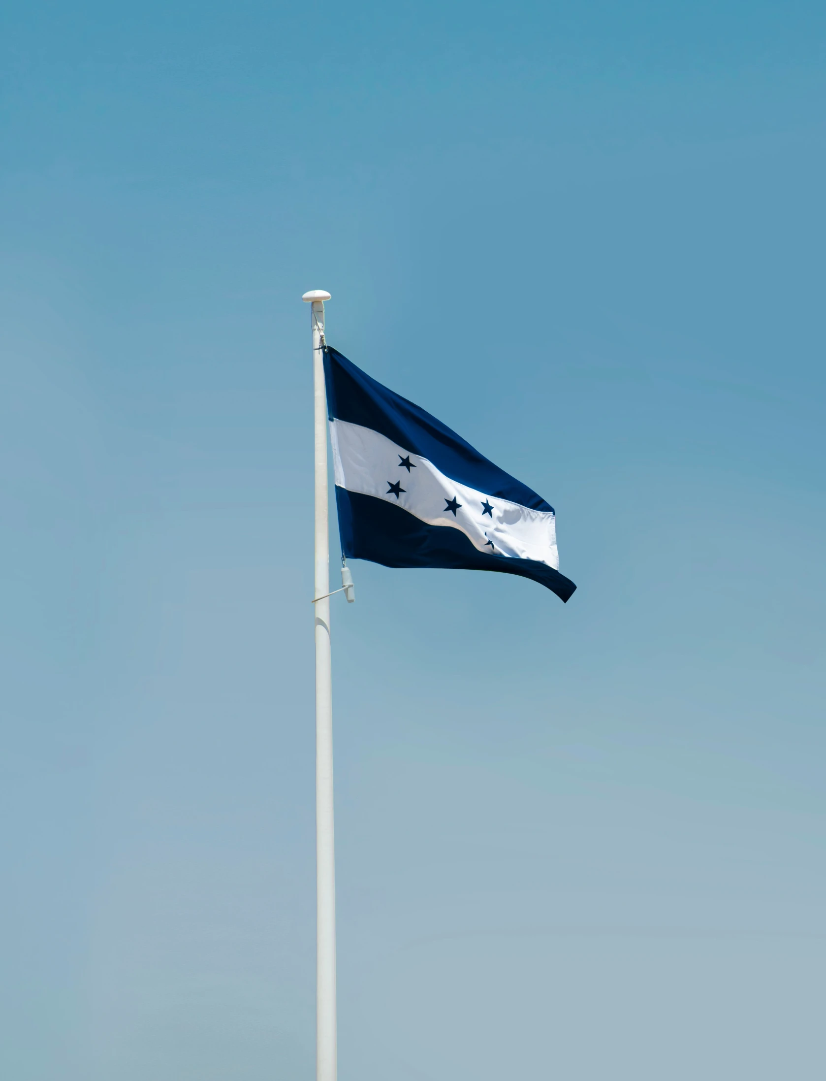 the flag of the state of israel is flying in the wind