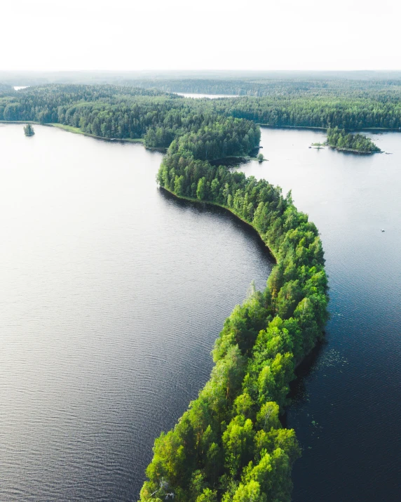 a curved stretch of land in a body of water with trees