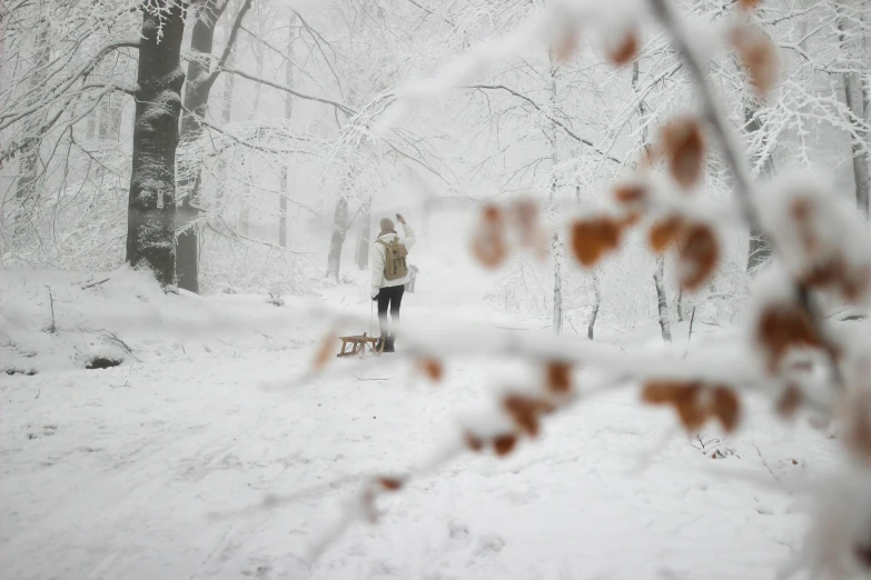 a person walking in the snow near trees