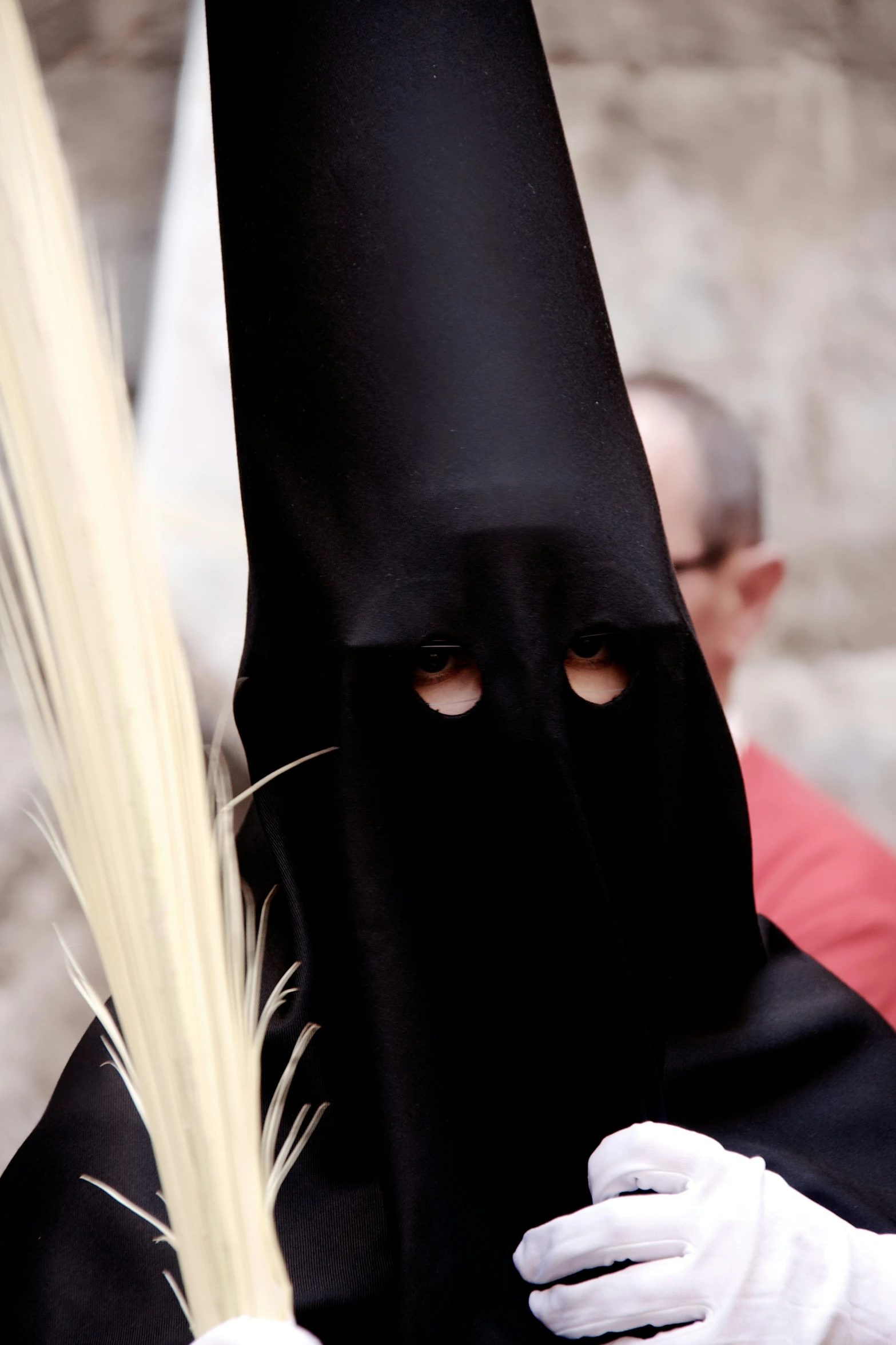 a person wearing a black mask is holding long yellow stalks