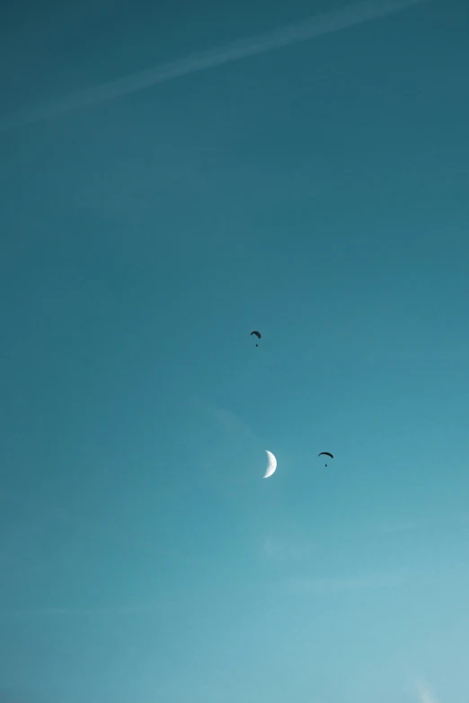 a very distant view of a moon and the two birds in flight