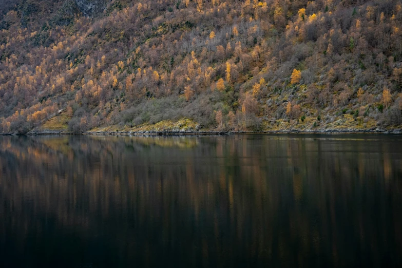 a lake on a mountain with lots of trees reflected in the water