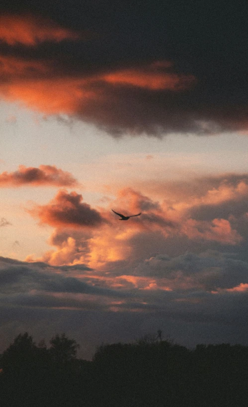 a plane flying in the sky during sunset