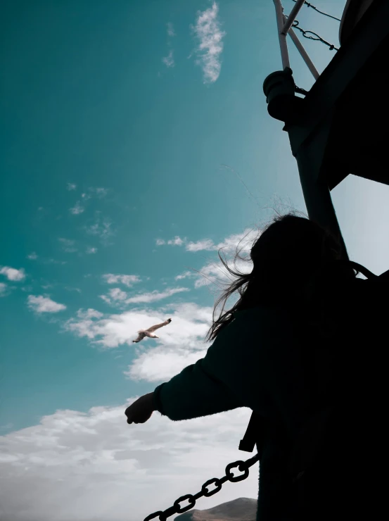 the bird is flying over the ferris wheel