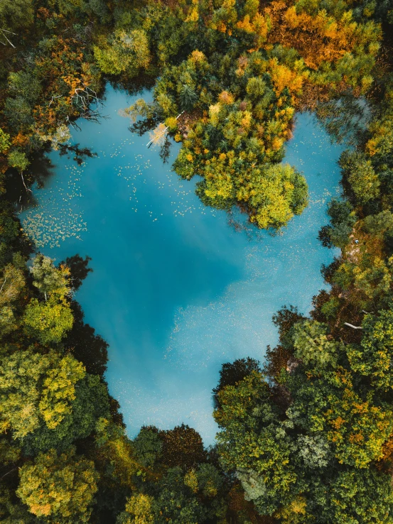 an aerial s of a lake surrounded by trees