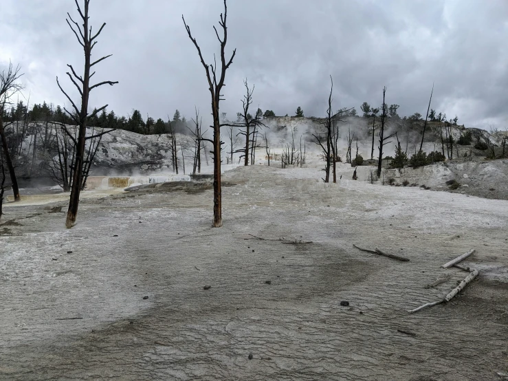 a sandy, grassy area next to a large geyser that looks like it is melting