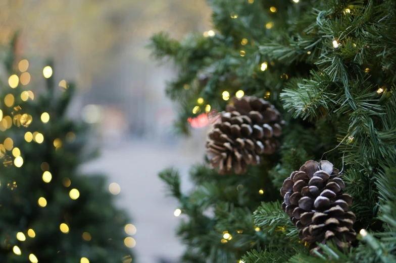 the evergreens have cones with lights on them