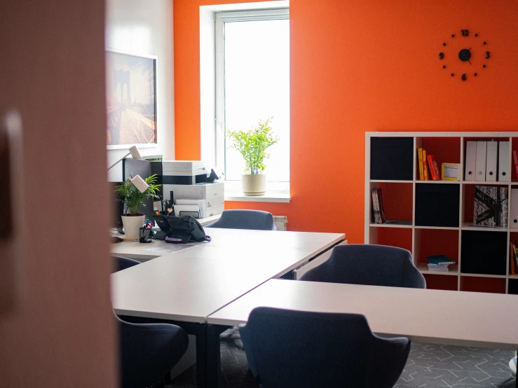 an office with orange walls, desks and two plants