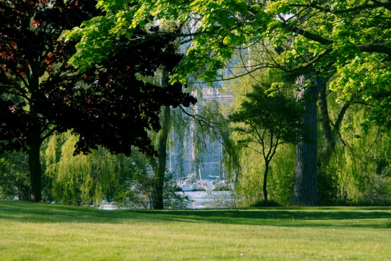 the park bench is sitting in the shade