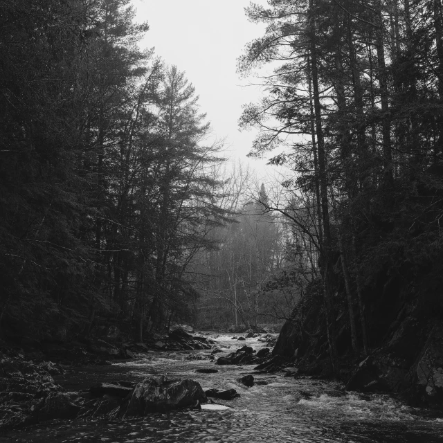 the view of an empty road through the forest