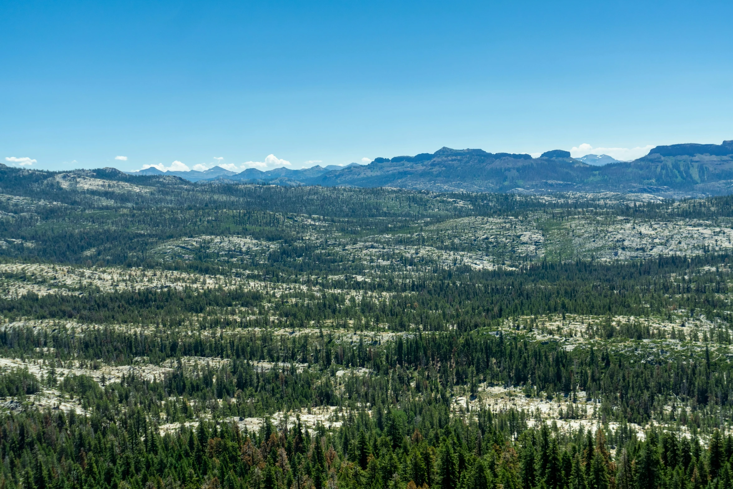 some trees are on a hill with mountains in the background